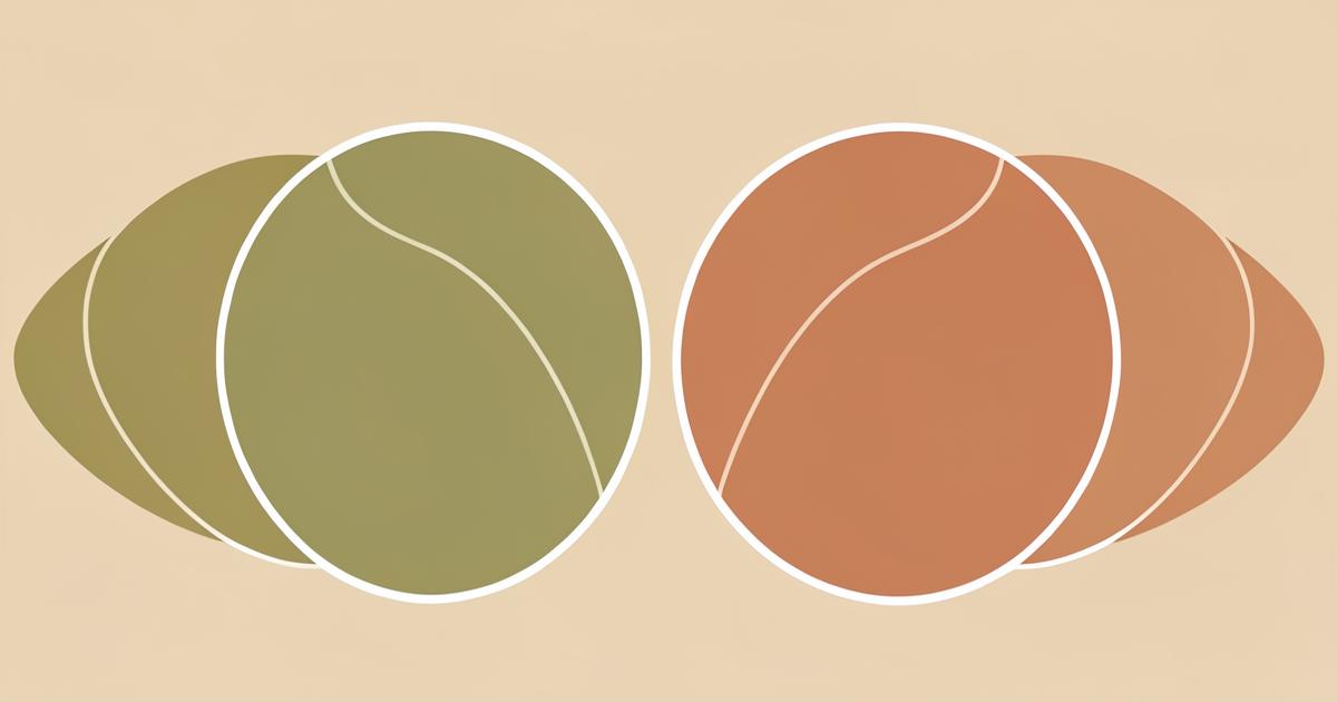 Ilustração editorial abstrata com formas orgânicas simétricas em verde oliva e terracota contornadas por linhas brancas finas, em referência neutra a um diagrama anatômico.