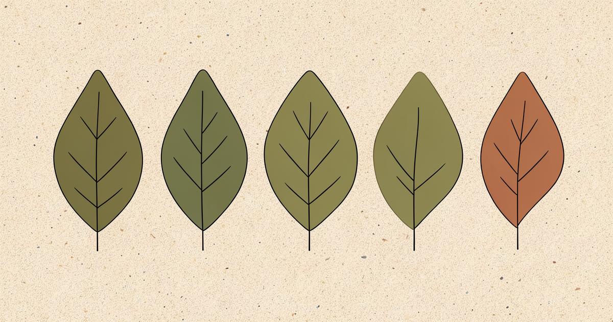 Ilustração editorial abstrata com cinco formas foliares de tamanhos e tons diferentes em verde oliva e terracota, sugerindo diversidade natural.