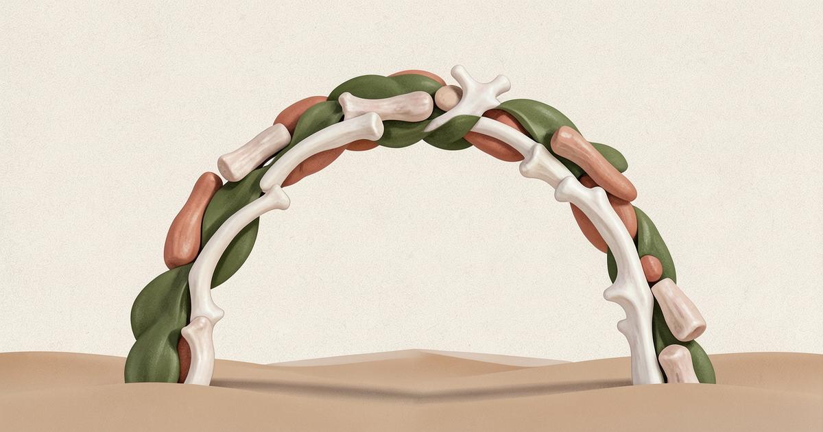 Ilustração editorial abstrata com ossos claros e formas orgânicas verdes e terracota reunidos em um arco sobre areia, referência à metáfora de La Loba.