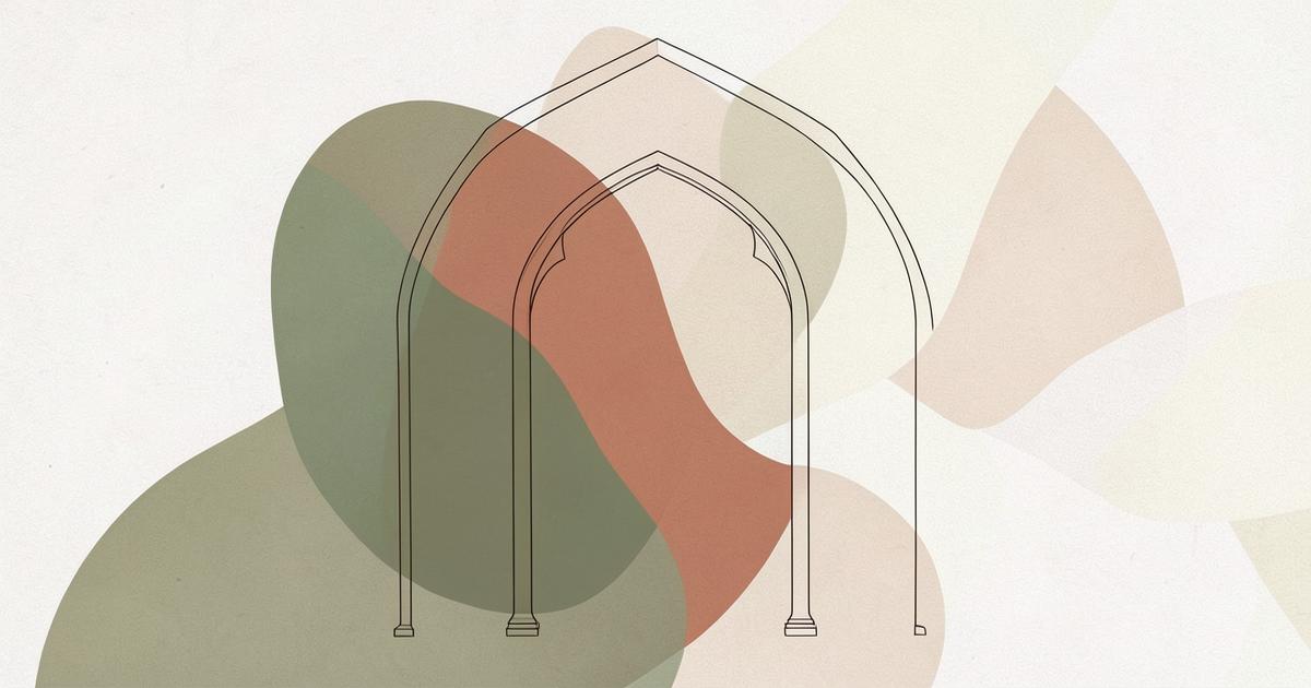 Ilustração editorial abstrata com arcos de linha fina sobre formas orgânicas em verde oliva, terracota e areia.